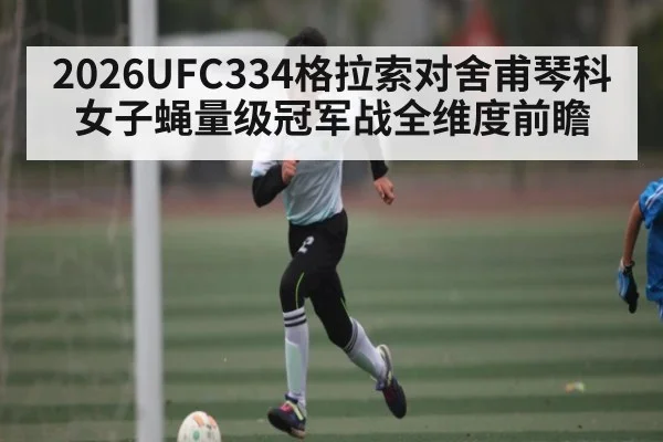 2026UFC334格拉索对舍甫琴科女子蝇量级冠军战全维度前瞻